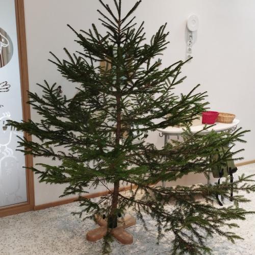 Besinnliche Adventzeit im kunterbunten Kullapup