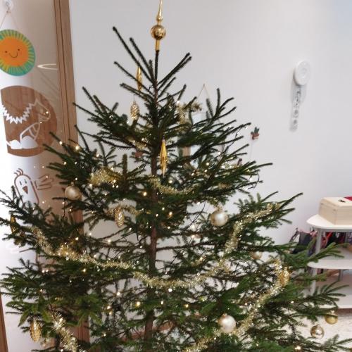 Besinnliche Adventzeit im kunterbunten Kullapup